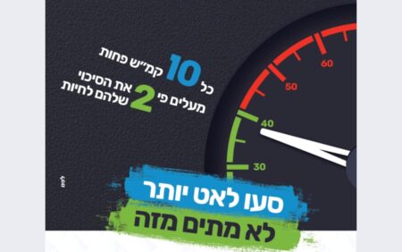 משק הרכב ובטיחות בתעבורה