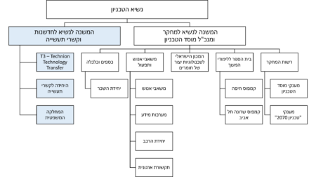 תרשים ארגוני מוסד הטכניון