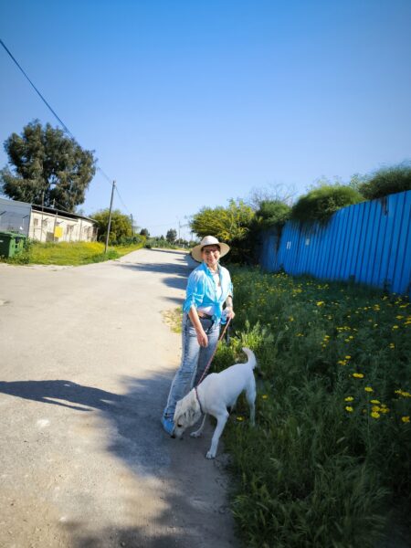 שבוע המעשים הטובים 2025 תמונות מההתנדבות