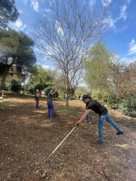 שבוע המעשים הטובים 2025 תמונות מההתנדבות